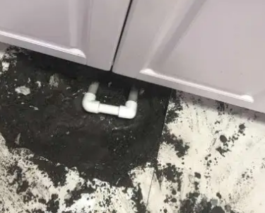 上杭查漏水哪家好
